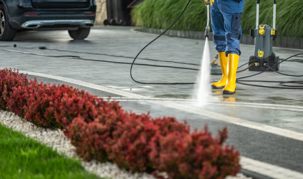 Best Fleet Vehicle Washing  in Escatawpa, MS